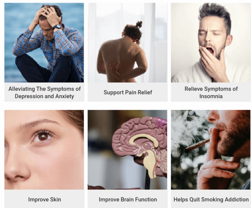 Forest Mountain Farms CBD Gummies Work