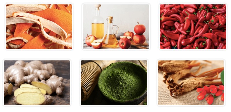 CitrusBurn Ingredients